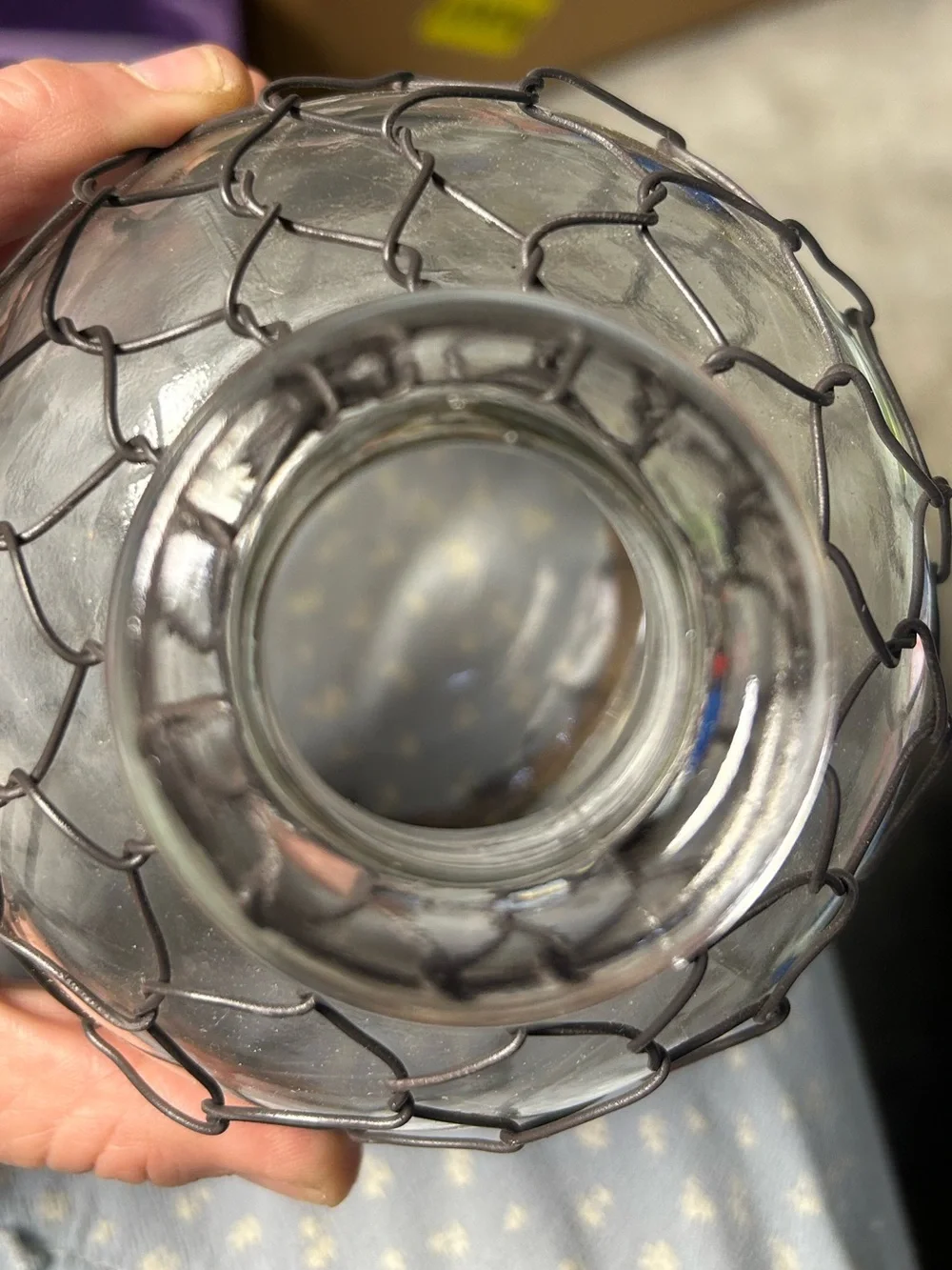 Wire Mesh Bottle Vase Glass Clear Black Wire Rustic Round